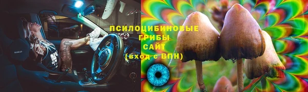 apvp Алексеевка