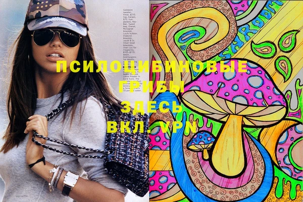 apvp Алексеевка