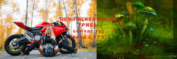 дурь Абинск